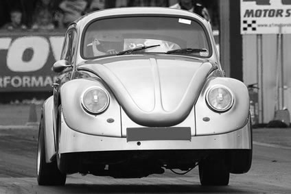 beetle_7